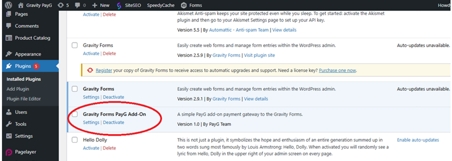 activate payg plugin